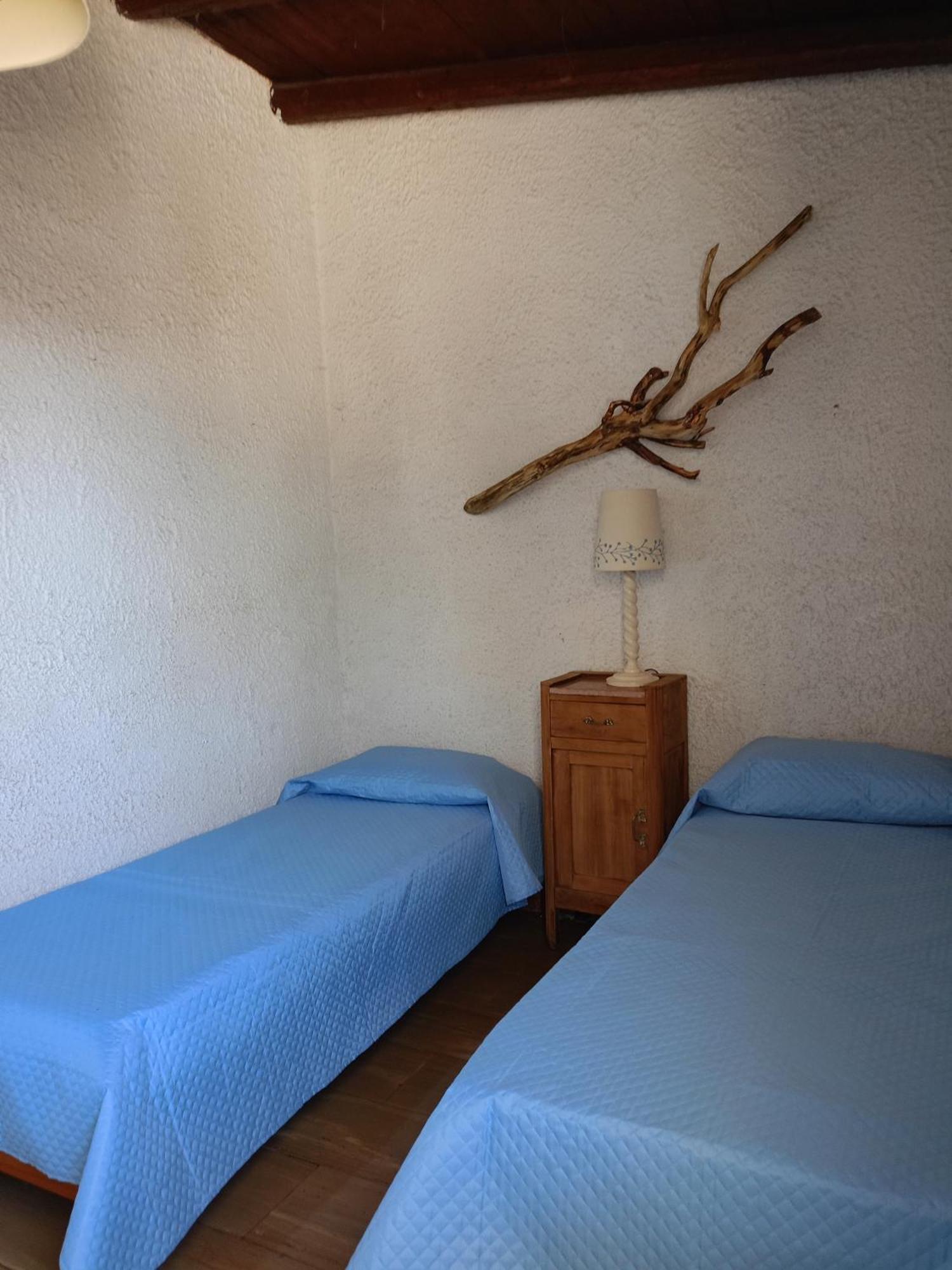 Blu Angel Daire Lido dei Pini Dış mekan fotoğraf