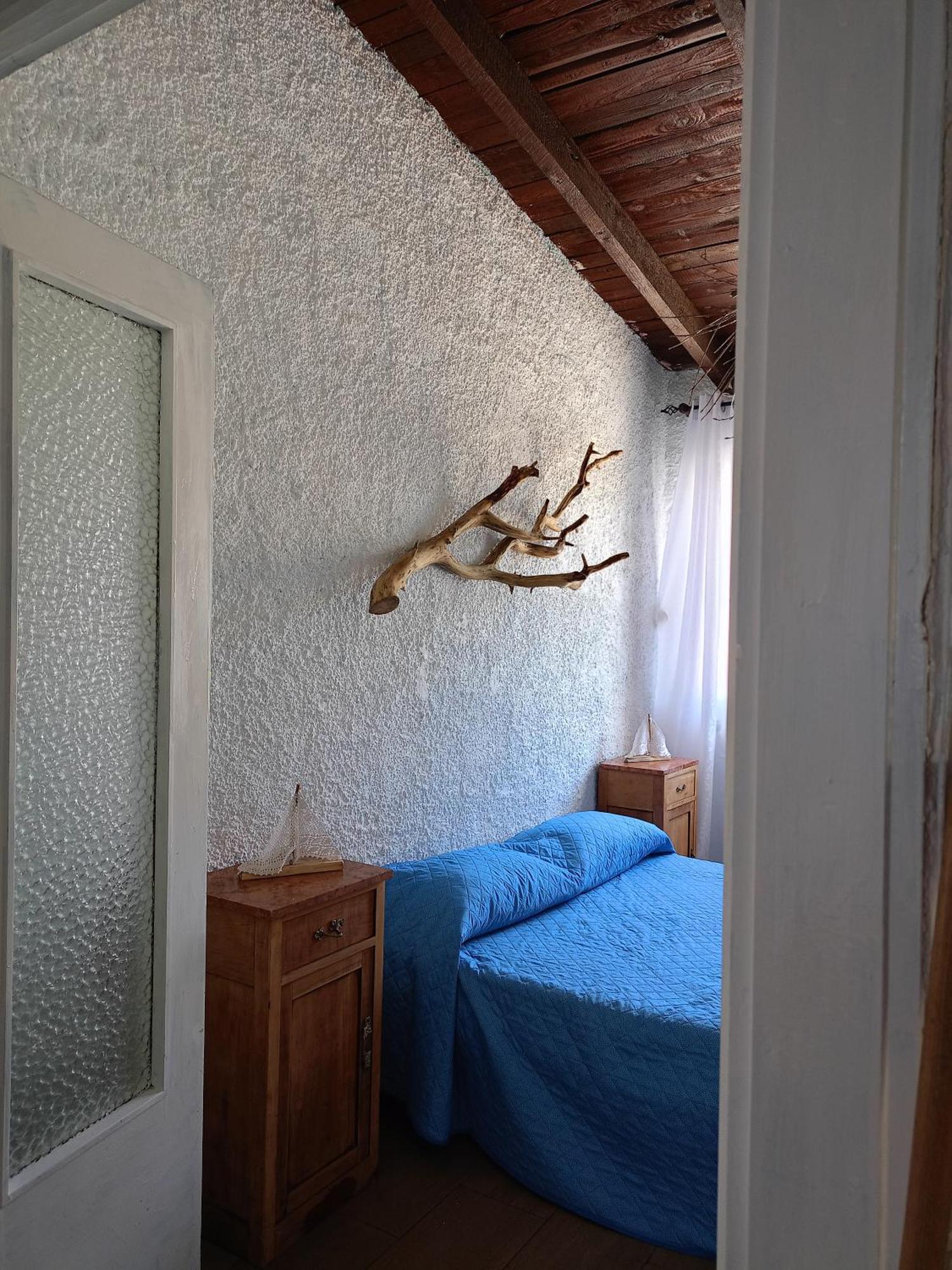 Blu Angel Daire Lido dei Pini Dış mekan fotoğraf