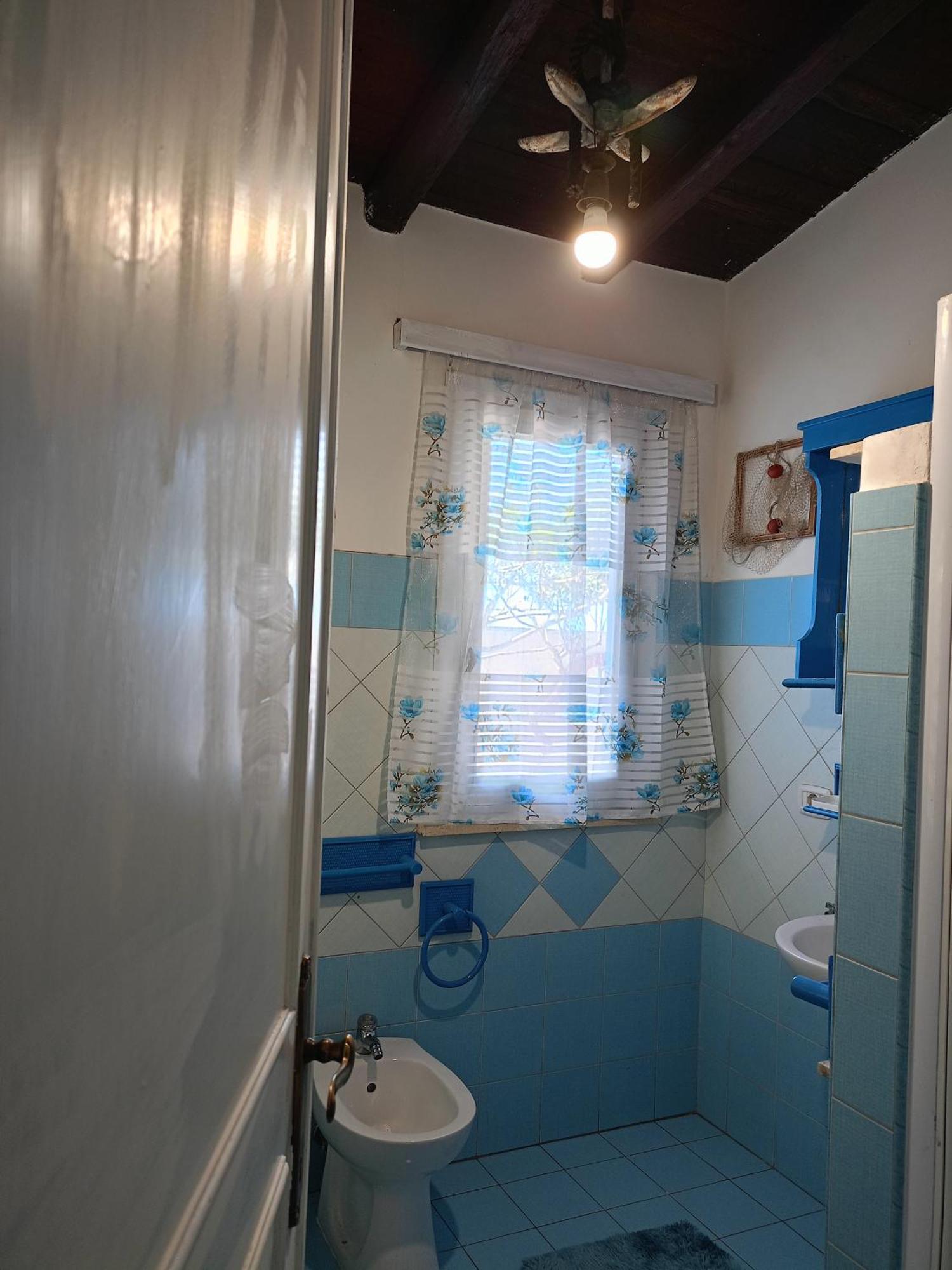 Blu Angel Daire Lido dei Pini Dış mekan fotoğraf