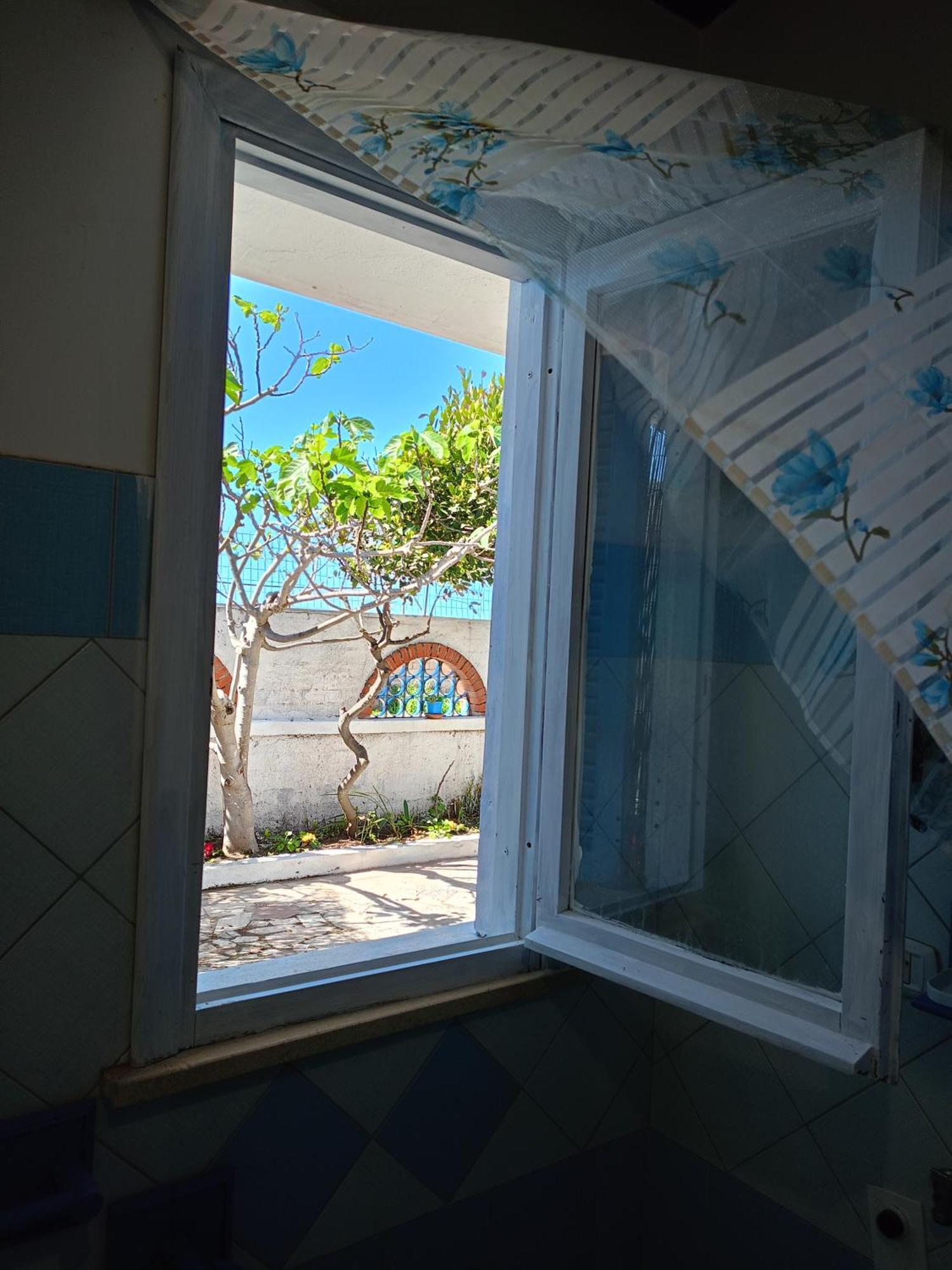 Blu Angel Daire Lido dei Pini Dış mekan fotoğraf