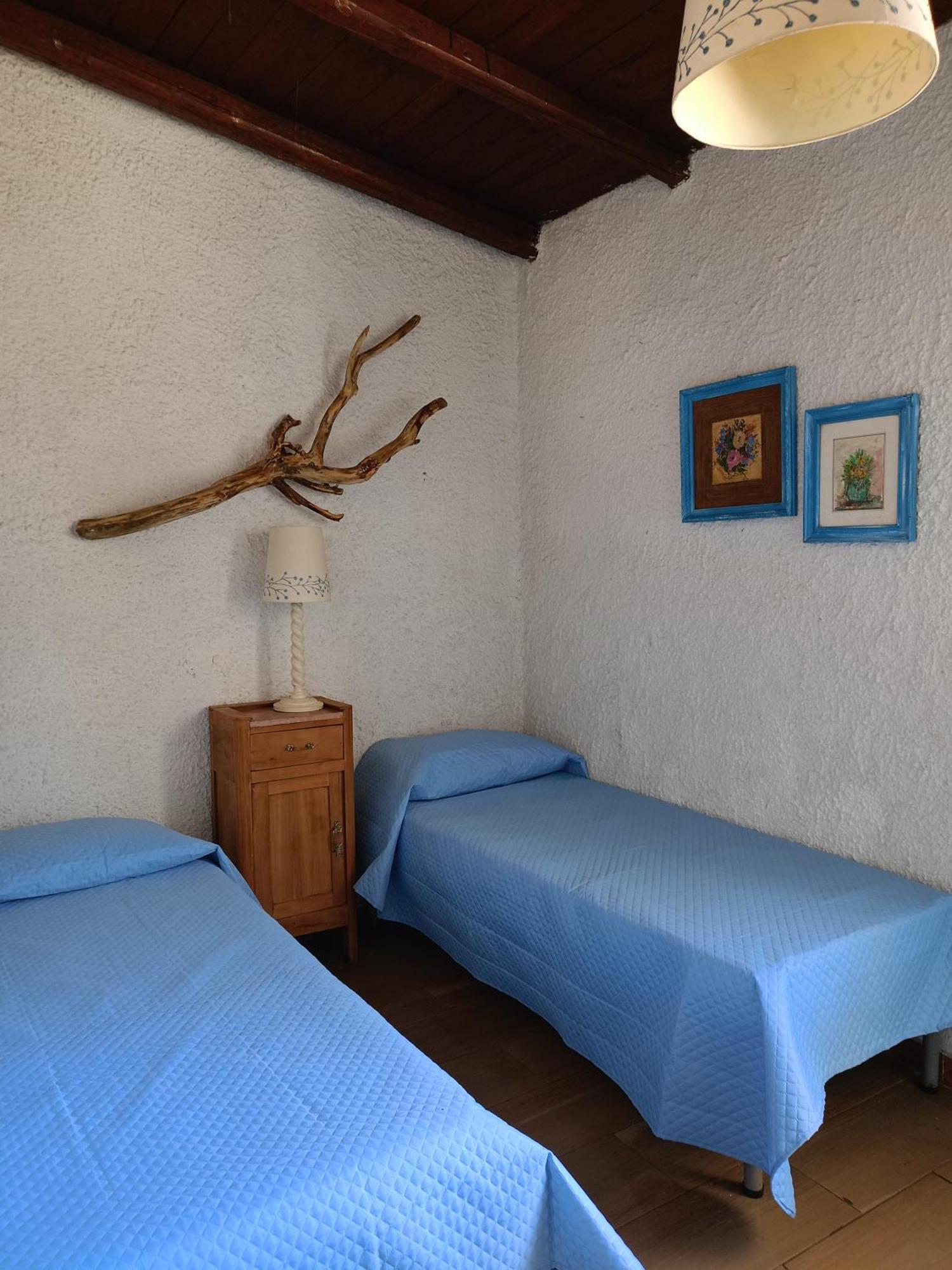 Blu Angel Daire Lido dei Pini Dış mekan fotoğraf