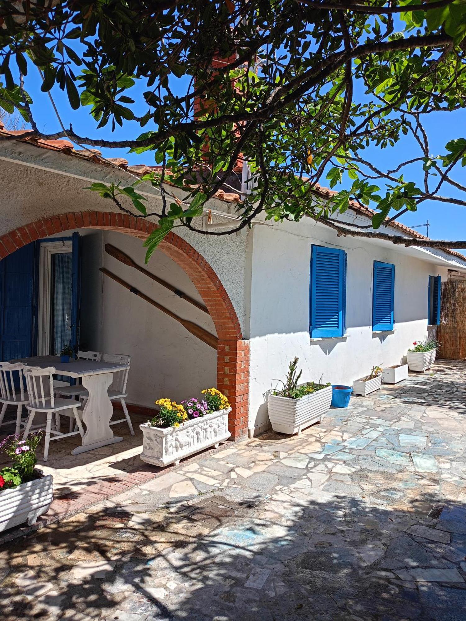 Blu Angel Daire Lido dei Pini Dış mekan fotoğraf