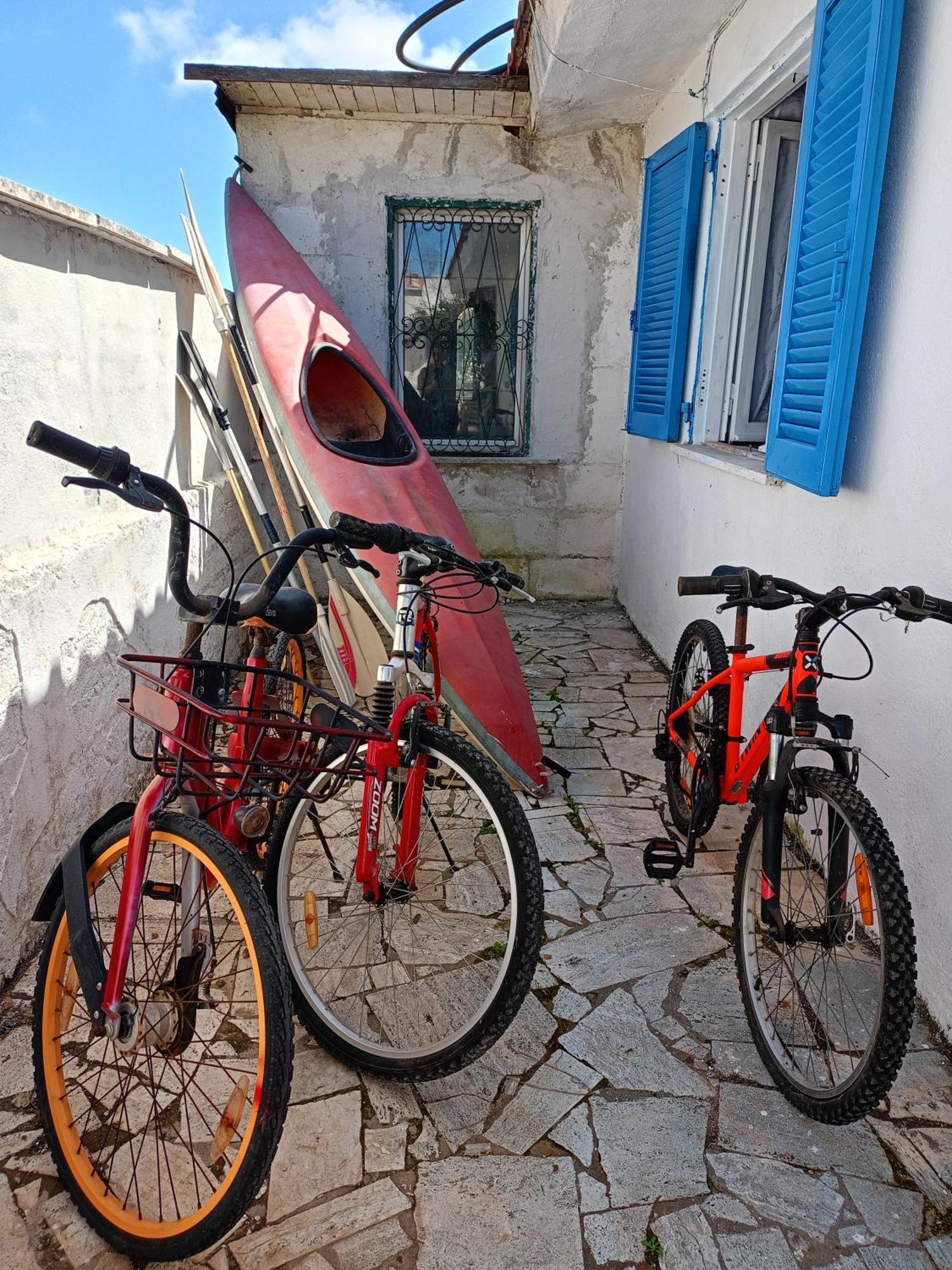 Blu Angel Daire Lido dei Pini Dış mekan fotoğraf